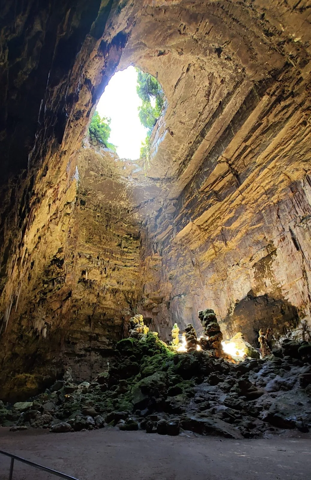 Interno della Grave delle Grotte di Castellana: alte pareti di roccia calcarea stratificata, apertura naturale verso il cielo e stalagmiti sul fondo